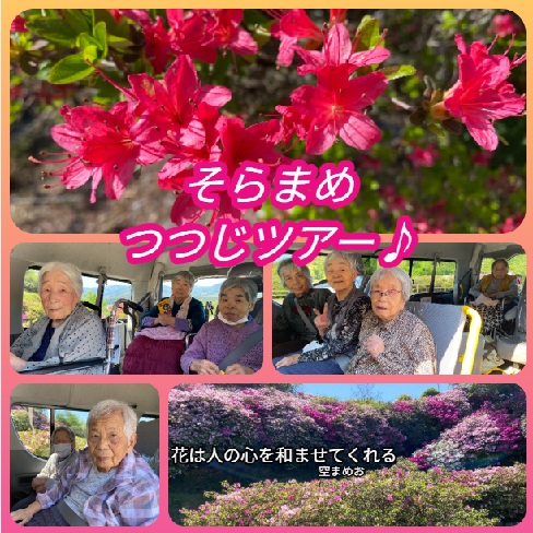 つつじ